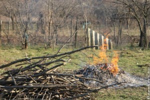 Ne égessünk kerti zöldhulladékot járvány idején!
