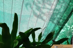 Tudta, hogy milyen sokoldalúan használható egy árnyékolóháló?