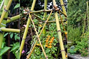 Bambusz támaszték készítése házilag