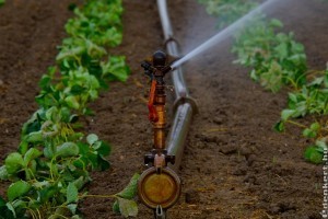 Három évvel meghosszabbodott a kútmoratórium, 2023 december az új határidő