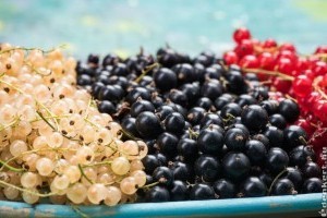 Bevált málna-ribiszke receptek: zselé, hab, bor