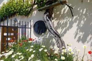 A világ legidősebb szőlőtőkéi többszáz évesek