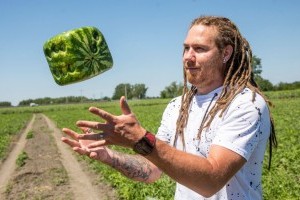 Hódmezővásárhelyen kocka alakú görögdinnye nő