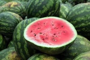 Megkezdődött a dinnyeszüret, átlagos termés várható 2020-ban