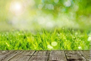 Folyékony humusz a kerti talajok, gyepbetegségek gyógyítója