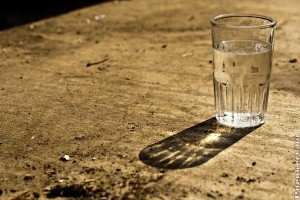 Különleges pálinka-alapanyagokat kutattak a Szent István Egyetem végzősei