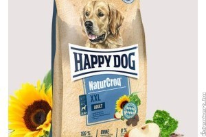 Élelmiszerek, amiket NE adj a kutyádnak