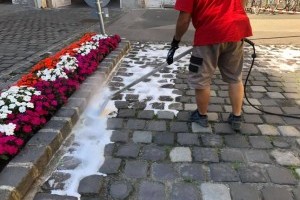 Gyomirtás glifozát helyett forró vízzel?