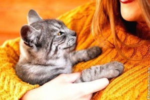 Macskatartás okosan