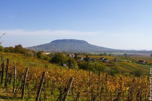 Őszi nagytakarítás a Balaton körül: hová kerüljön a zöldhulladék?