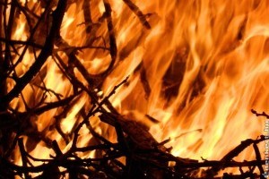 Januártól tilos avart égetni a kertben