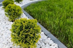 Minimalista kert kavicsággyal, tényleg jó megoldás?