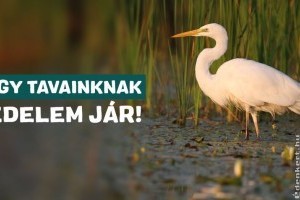 Összefogás tavainkért: Védelem jár Magyarország nagy tavainak