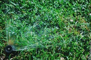 Automata öntözőrendszer kiépítése profi segítséggel