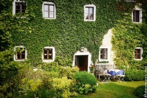 Klímabarát családi háztartás - mit tehetünk a kertben?