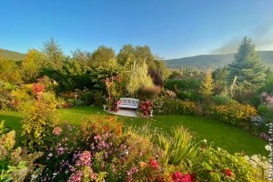 A kertész kertjét gyomlálni sem kell - a trükk videón