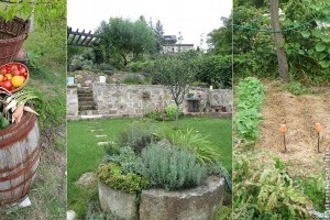 Budapest szívében Magyarország egyik legszebb konyhakertje