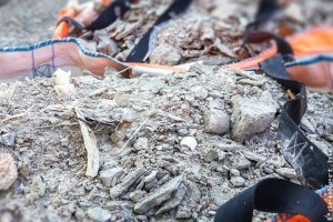 A gyors sittszállítás és lomtalanítás csak egy telefonhívásba kerül