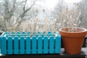 Hétvégére fagyos éjszakák jönnek, vigyük védett helyre a fagyérzékeny növényeket