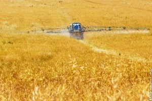 Az Agrárkamara szerint túlzóak a növényvédő szerekkel szembeni aggodalmak