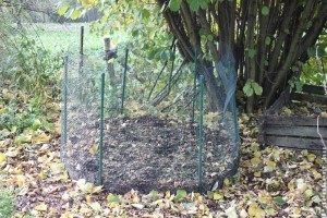 Diólevél komposztolása: így állj neki!