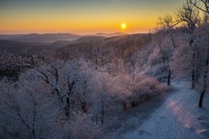 Rekordot döntött idén a Pilisi Parkerdő látogatottsága