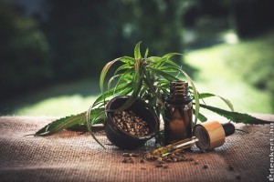 Mire jó a CBD olaj?