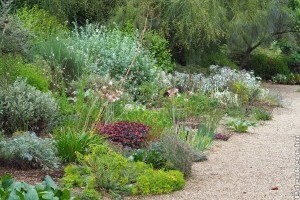 Sóder a kertben? Nagyon sok esetben szükség lehet rá!