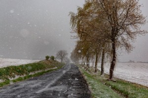 Sok gondot okozott a gazdáknak a szeszélyes áprilisi időjárás