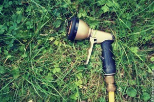 Praktikus tömlőkocsik kicsi és nagy kertbe