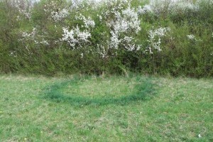 Kapu a túlvilágra? Így veheted észre a természetben