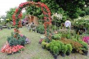 Gyönyörű kastélyparkban várja látogatóit az Európai Dísznövény és Kertművészeti Napok
