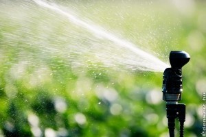 Megdönthetetlen érvek az automata öntöző rendszer mellett