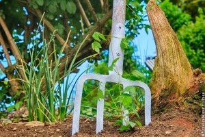 Hogyan válasszunk kerti szerszámokat, hogy a munka örömteli legyen?