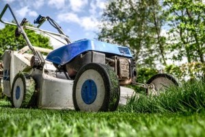 Milyen fűnyírót érdemes beszerezni idén?