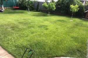 Hogyan kezeld a gyepet a kánikulában?