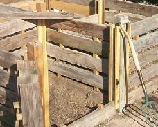 Krizantém: ha ezekre figyelsz, tele lesz virággal