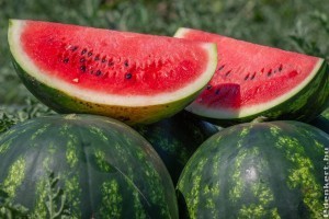 Beérett a hazai dinnye: indul a 2021-es dinnye szezon