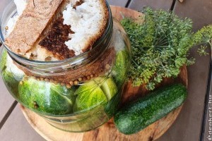 Roppanós kovászos uborka készítése házilag videóval