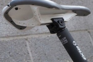 A bringás nyeregpálcák evolúciója