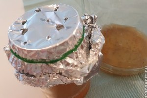 Bombabiztos muslicacsapda házilag: el sem hiszed mennyire olcsón és egyszerűen elkészíthető!