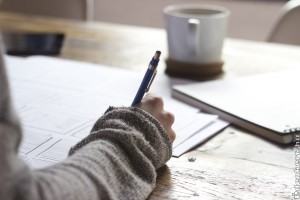 Account managert keres az Édenkert.hu!