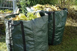 Ha konténeres sittszállítást kérsz Budapesten, a következőkre figyelned kell