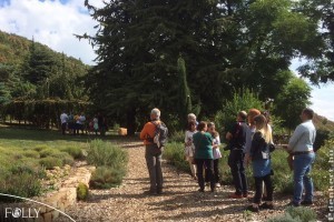 Fákat fogadtak örökbe a Folly Arborétumban