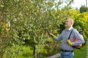 Így készítsük fel a gyümölcsfákat és a szőlőt a télre!