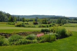 11+1 gyönyörű tájépítészeti mestermunka - az ország legszebb kertjeit díjazták