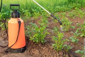 Hogyan válasszunk megfelelő szivattyút a kertünkbe?