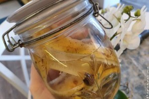 Filléres trükk banánhéjjal: ha ezt megcsinálod, gyönyörű lesz az orchideád!