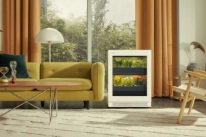 Ilyet még nem láttunk: egy szekrénnyi okos édenkert a lakásban