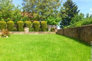 Gyepszellőztetés: mikor és hogyan érdemes csinálni